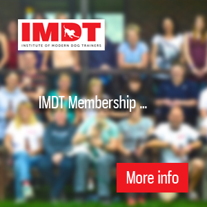 IMDT Membership
