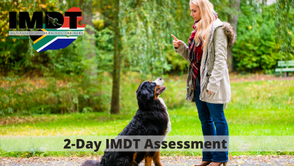 IMDT MEMBERSHIP ASSESSMENT - GAUTENG