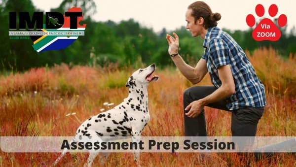 IMDT ASSESSMENT PREP SESSION - GAUTENG