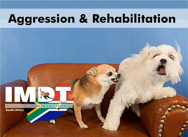 IMDT 1 DAY Canine Aggression and Rehabilitation