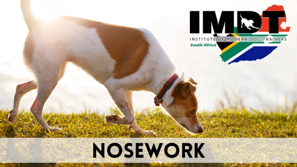 IMDT 2 DAY NOSEWORK & TRACKING