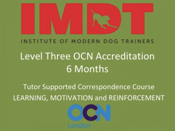 LEVEL THREE 6 Months. Learning, Motivation and Reinforcement