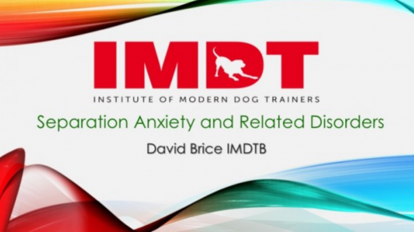 Separation Distress / Anxiety and Related Disorders